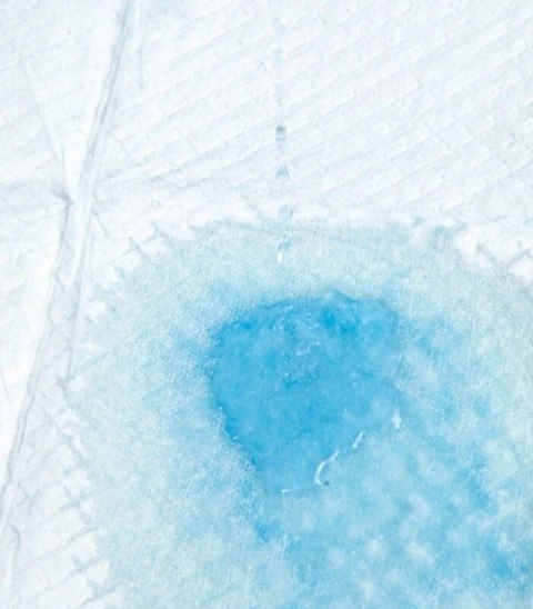 PODKŁADY CHŁONNE DLA PSA 33 X 45 100 SZT. MATY DO NAUKI SIKANIA + WORKI