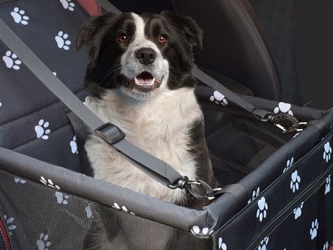 TRANSPORTER SAMOCHODOWY MATERIAŁOWY NA SIEDZENIE MATA DLA PSA KOTA