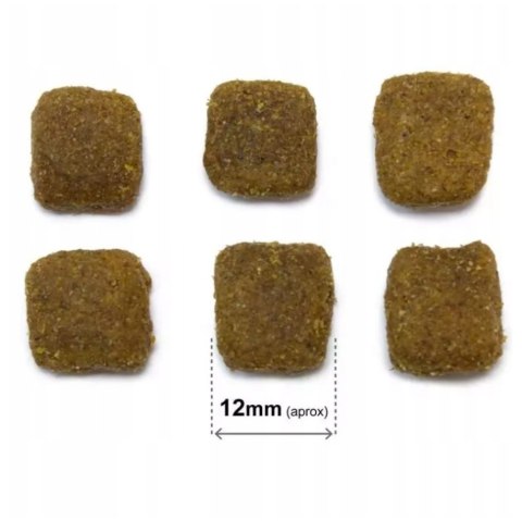 ARQUIVET Original Adult sucha karma dla psa JAGNIĘCINA Z RYŻEM 12 kg