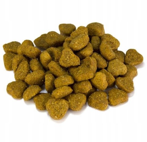 ARQUIVET Original Adult sucha karma dla psa JAGNIĘCINA Z RYŻEM 12 kg