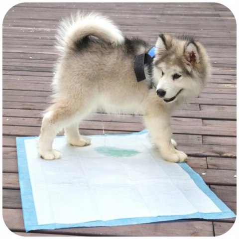 PODKŁADY CHŁONNE DLA PSA 60 X 60 100 SZT. MATY DO NAUKI SIKANIA + WORKI