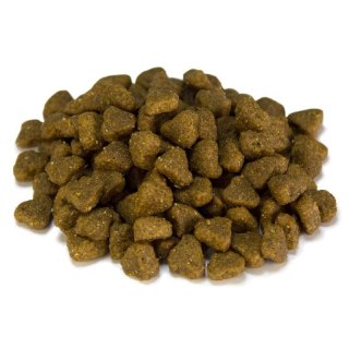 Arquivet Dog Adult Mini 3kg