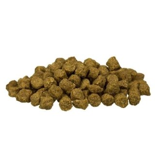 BOSCH Mini Light 2,5kg