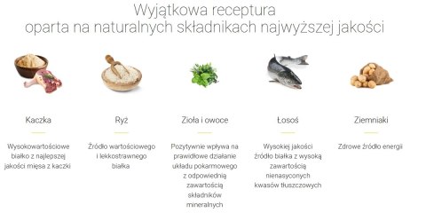 Josera Mini Junior 15kg