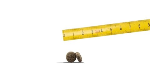 Josera Mini Junior 15kg