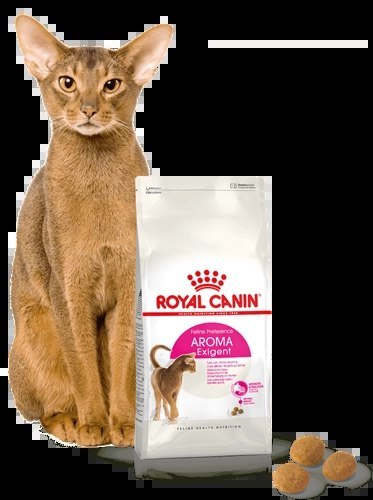 ROYAL CANIN Exigent Aromatic Attraction 33 10kg