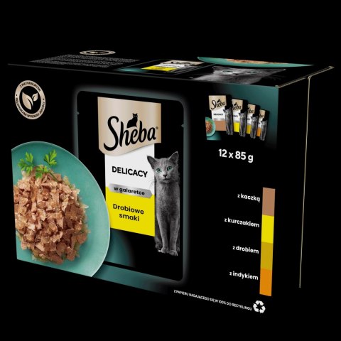 Sheba Saszetka Delicacy In Jelly Smaki Drobiowe 12x85g