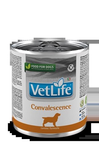 Farmina Vet Life Canine Convalescence 300g