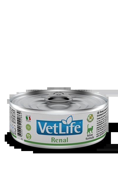 Farmina Vet Life Feline Renal 85g