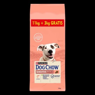 Purina Dog Chow Sensitive Adult Z Łososiem 14kg