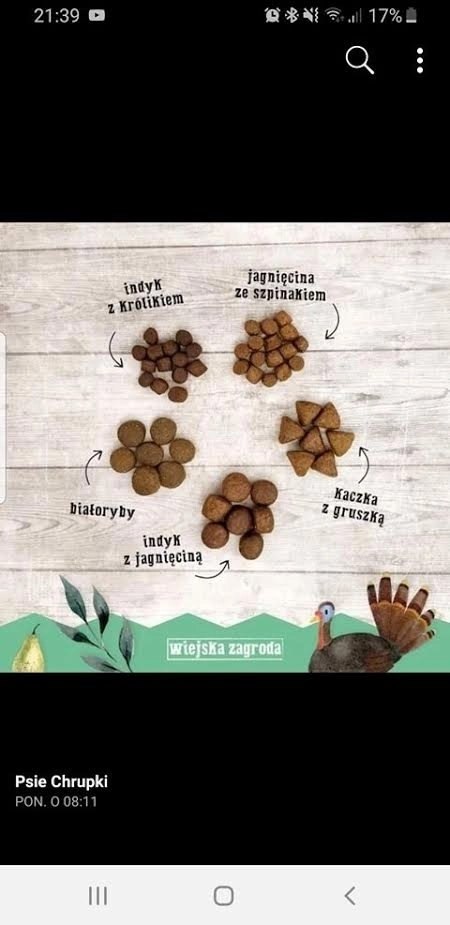 Wiejska Zagroda Dla Szczeniąt Jagnięcina Ze Szpinakiem 9kg