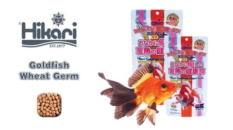Hikari Goldfish Wheat Germ Mini 100g