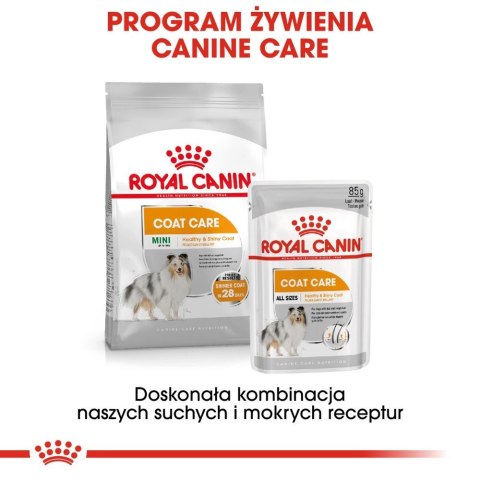 ROYAL CANIN CCN Coat Care Pasztet 12x85g