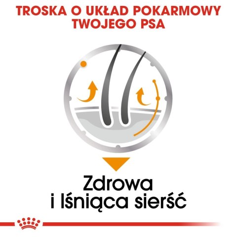 ROYAL CANIN CCN Coat Care Pasztet 12x85g