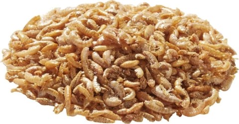 Tetra Fauna Gammarus 4l