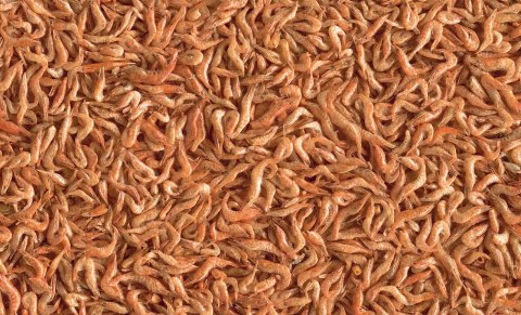 Tetra Reptodelica Shrimps 1l