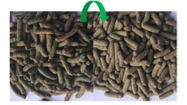 Versele-Laga Cuni Junior Nature 2,3kg