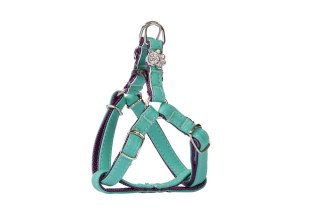 Dingo New York Szelki Step-In Dla Yorka I Małego Psa Miętowe