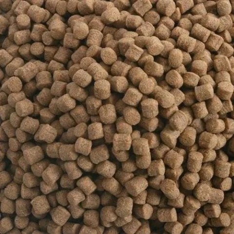 Hikari Koi Wheat Germ Sinking M 5kg