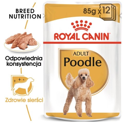 ROYAL CANIN Poodle 12x85g