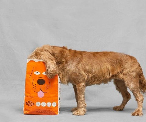 Entomojo Sas Tomojo Karma Z Owadami Dla Psa 2kg