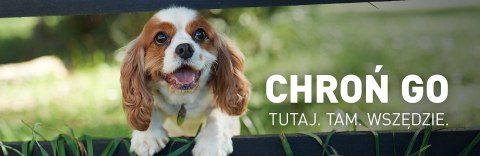 FRONTLINE Spot On Dla Psa 3x4,02ml