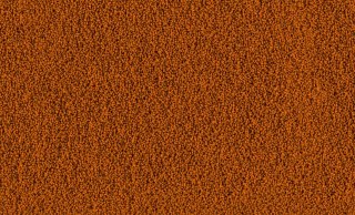 Tetra Betta Granules Saszetka 5g