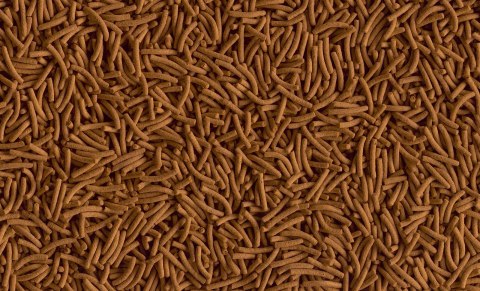 Tetra Cichlid XL Sticks 500ml