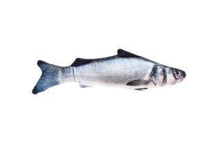 Ferribiella Branzino Matatabi Okoń Morski 20cm