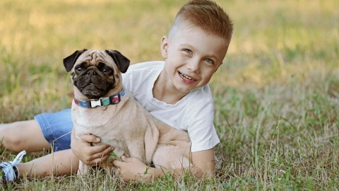 Frexin Obroża Insektobójcza Dla Psa 45cm