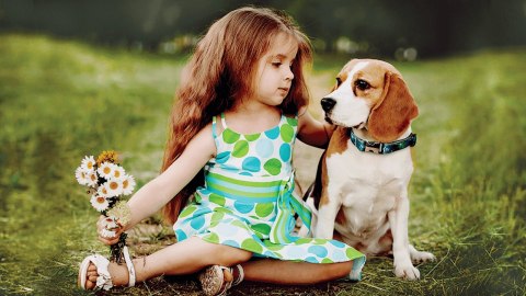 Frexin Obroża Insektobójcza Dla Psa 55cm