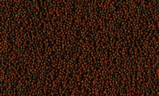 Tetra Cichlid Algae Mini 500ml