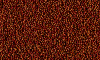 Tetra Pokarm Cichlid Colour 500ml