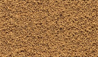 Tetra Pond Sticks 4l