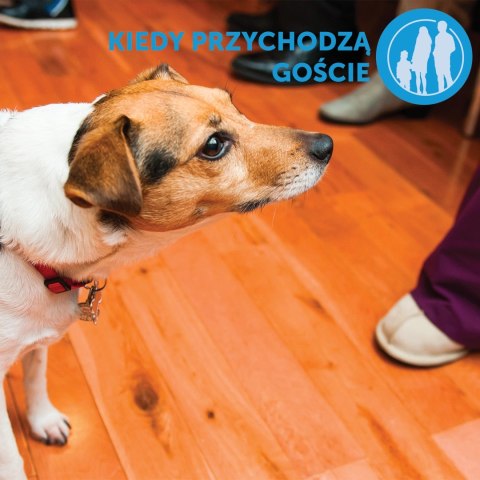 Ceva Animal Health Polska Sp. Z O.o. Adaptil Dyfuzor 48ml