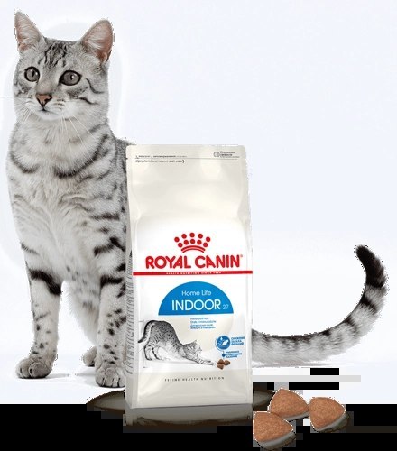 ROYAL CANIN Indoor 27 400g