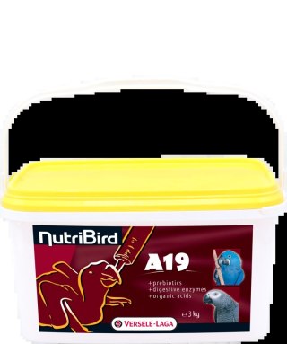 Versele-Laga NutriBird A19 Pokarm Do Ręcznego Karmienia Piskląt 3kg