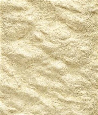 Versele-Laga NutriBird A19 Pokarm Do Ręcznego Karmienia Piskląt 800g