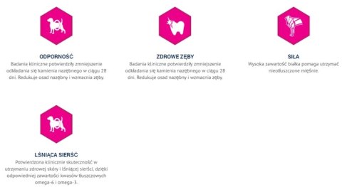 Eukanuba Adult Small Breed Chicken 15kg