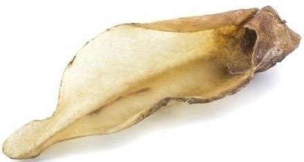 Maced Ucho Wołowe 20szt