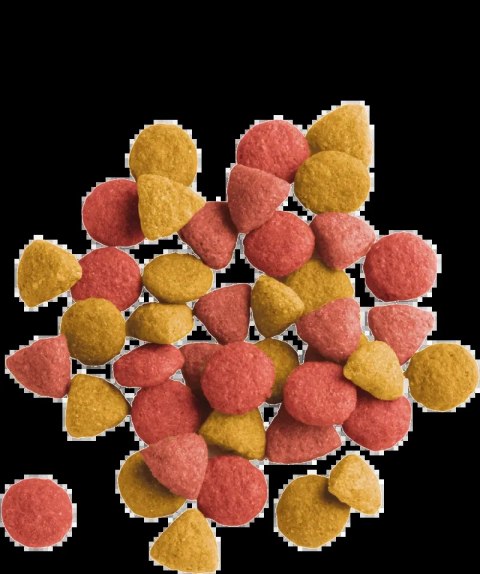 Versele-Laga Lara Adult Sterilized Z Kurczakiem 2kg