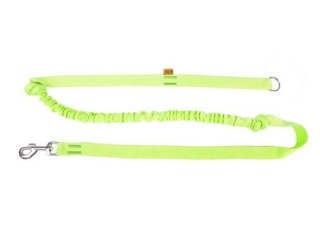 Dingo Smycz Z Amortyzatorem I Uchwytem Zielona 170cm