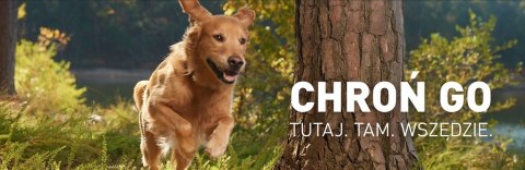 FRONTLINE Tri-Act Dla Psów 3x4ml