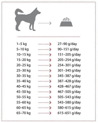 Nature's Protection Extra Salmon 12kg