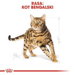 ROYAL CANIN Bengal Adult 2kg