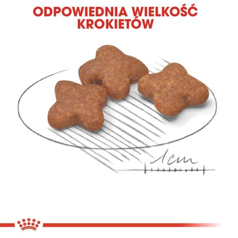 ROYAL CANIN Mini Adult 8+ 800g