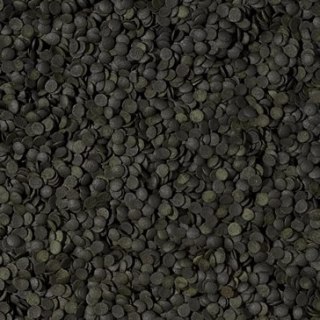 Tropical Super Spirulina Forte Chips 100ml