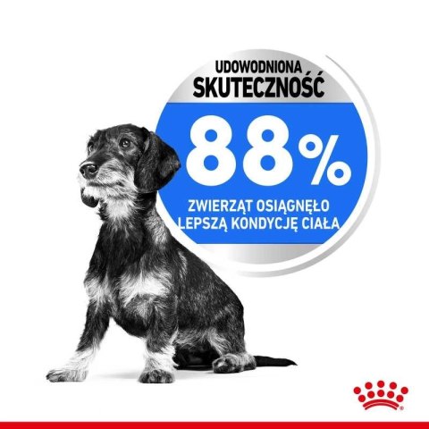 ROYAL CANIN CCN Mini Light Weight Care 1kg