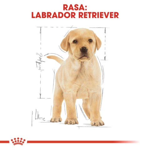 ROYAL CANIN Labrador Retriever Puppy 3kg