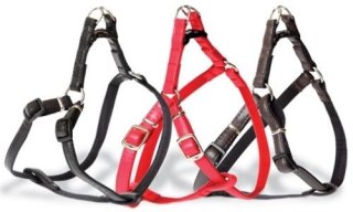 Dingo Szelki Typu Step-In Z Taśmy Dla Psa Czarne Rozmiar 60